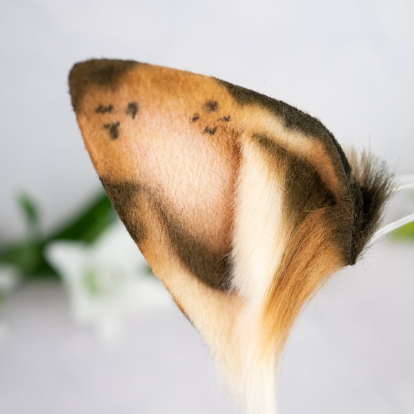 Chocolate Chip Puppy ears