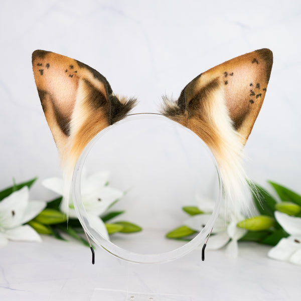 Chocolate Chip Puppy ears