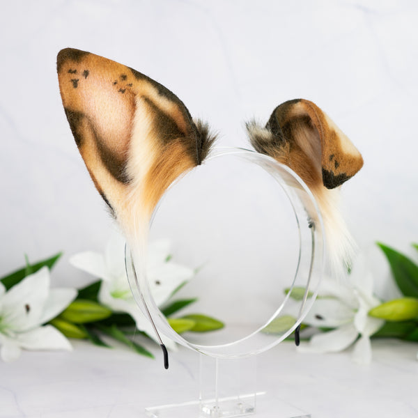 Chocolate Chip Puppy ears