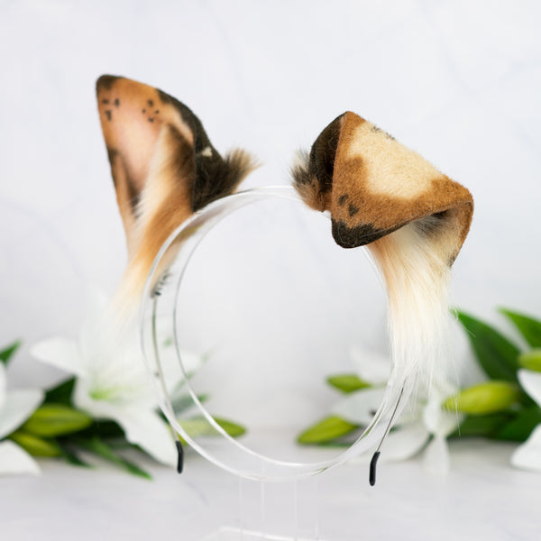 Chocolate Chip Puppy ears