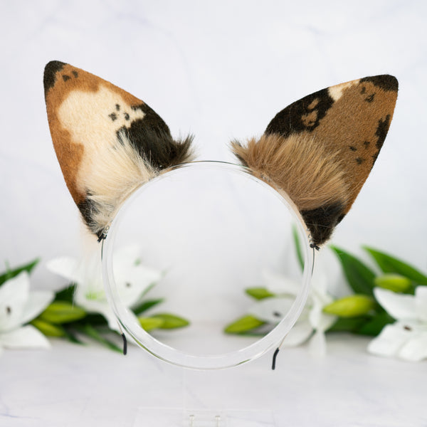 Chocolate Chip Puppy ears