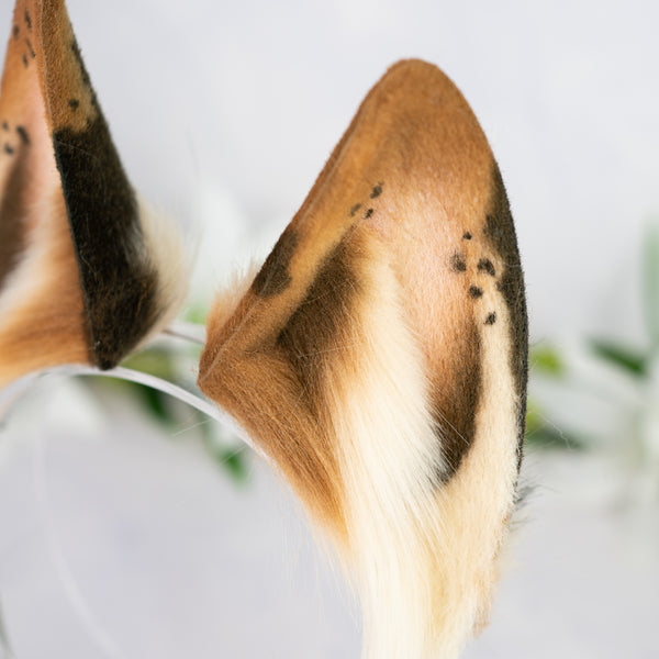 Chocolate Chip wolf ears