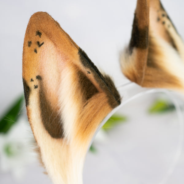 Chocolate Chip wolf ears