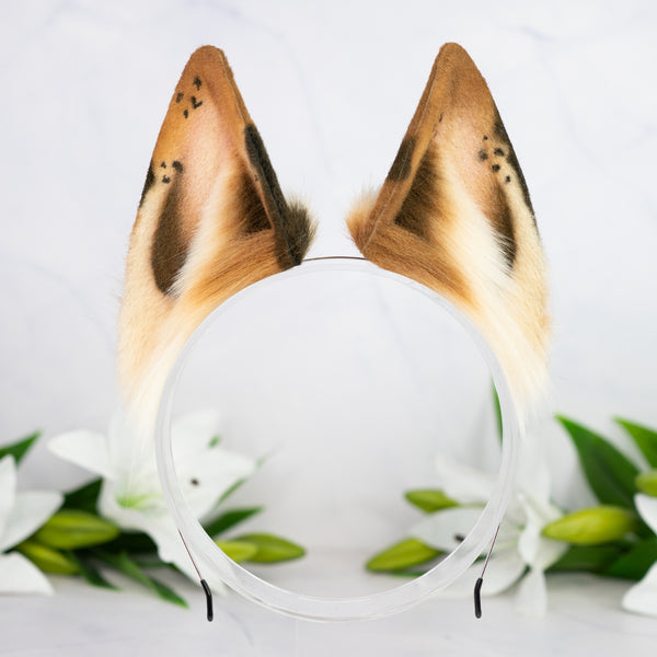 Chocolate Chip wolf ears