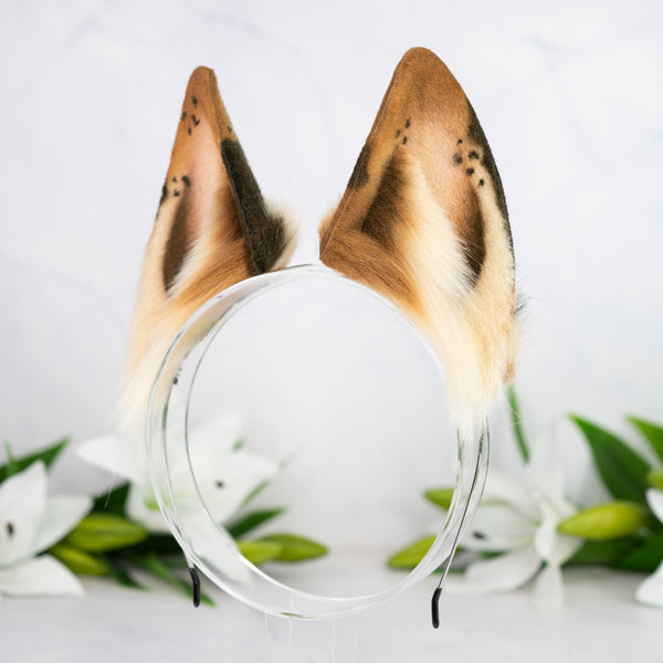 Chocolate Chip wolf ears