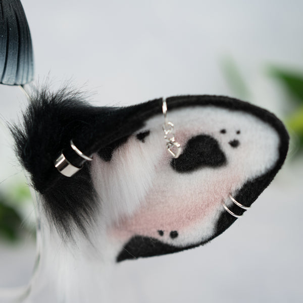Classic cow ears - Mismatched with Piercings (1)