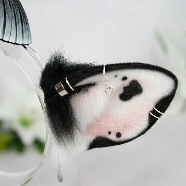 Classic cow ears - Mismatched with Piercings (1)