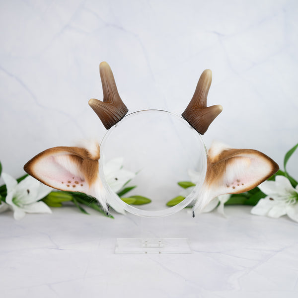 Spotted deer ears with antlers