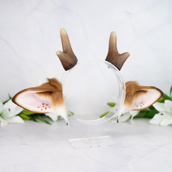 Brown deer ears with antlers