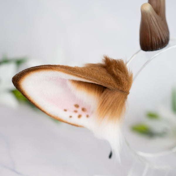 Brown deer ears with antlers