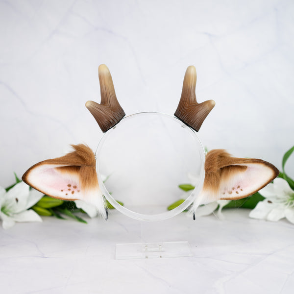 Brown deer ears with antlers