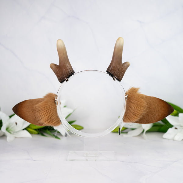 Brown deer ears with antlers