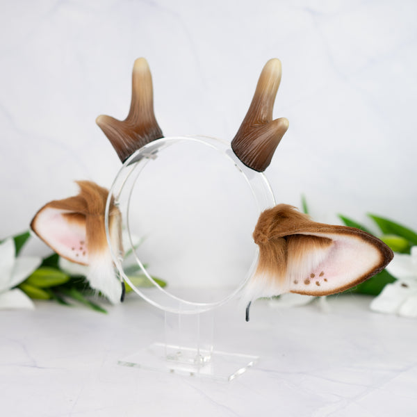 Brown deer ears with antlers