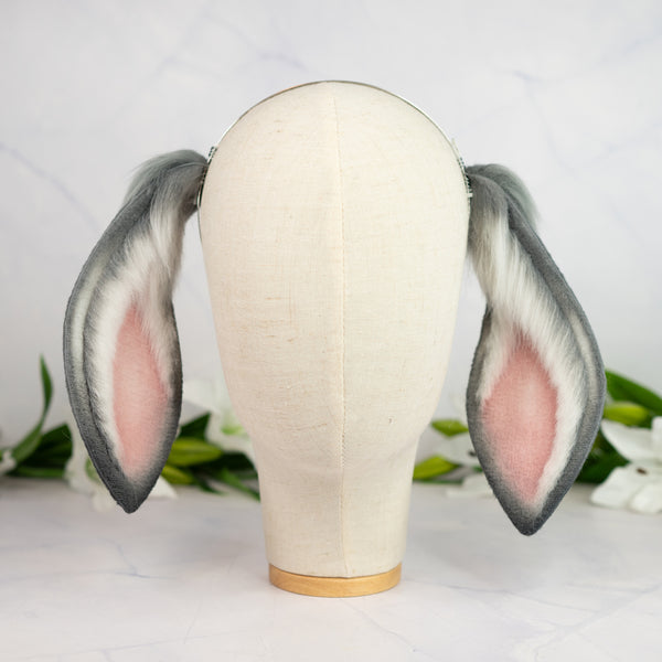 Grey lop bunny ears