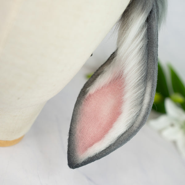 Grey lop bunny ears