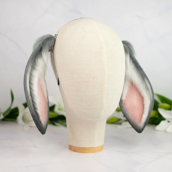 Grey lop bunny ears