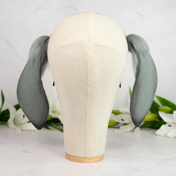 Grey lop bunny ears