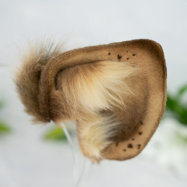 Hyena ears