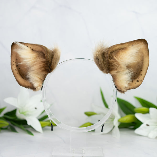 Hyena ears