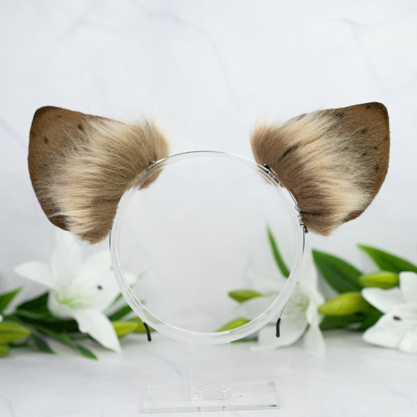 Hyena ears