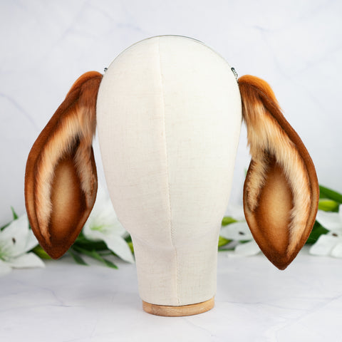 Lop bunny - copper
