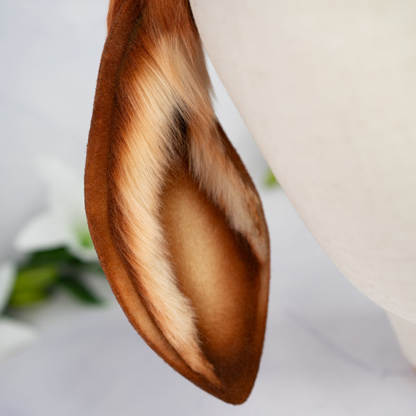 Lop bunny - copper