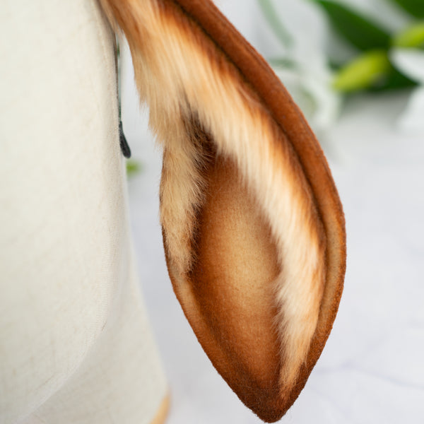 Lop bunny - copper