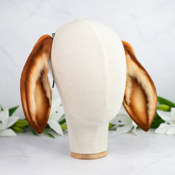 Lop bunny - copper