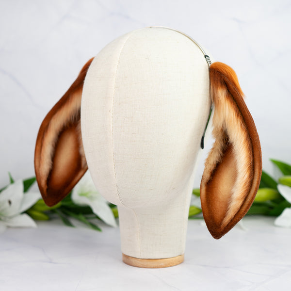 Lop bunny - copper