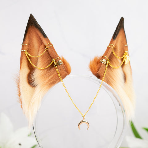 Maple fox ears