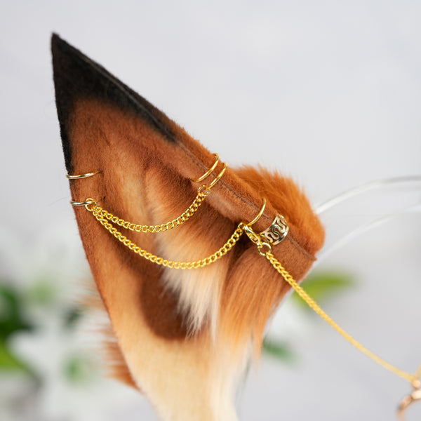 Maple fox ears