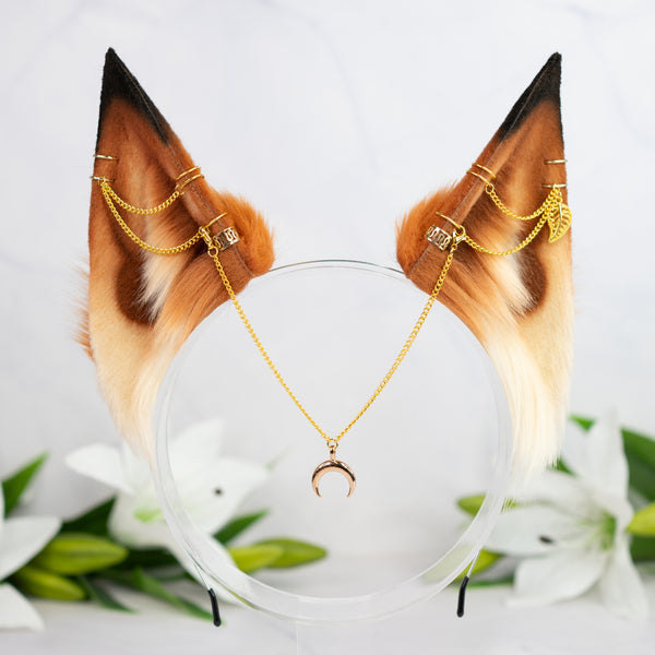 Maple fox ears