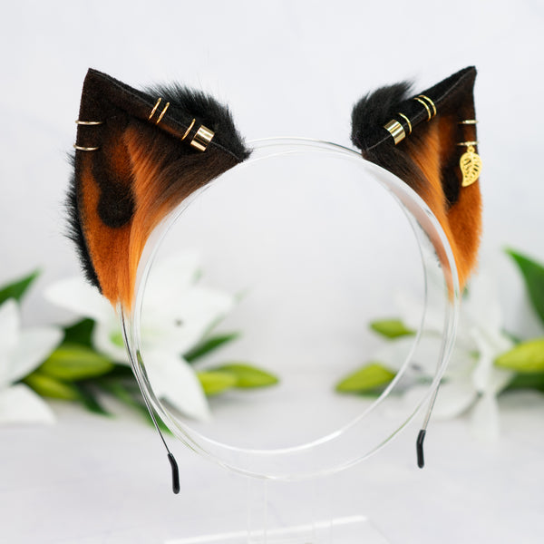 Melanistic kitten ears