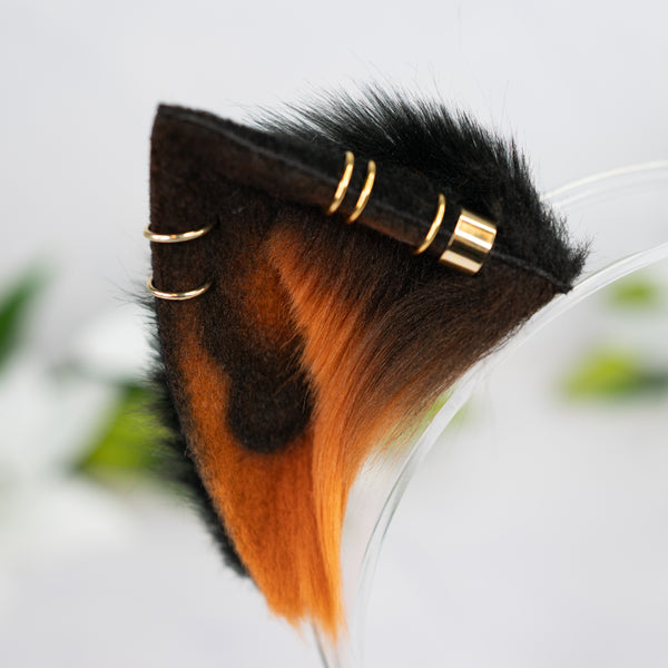 Melanistic kitten ears