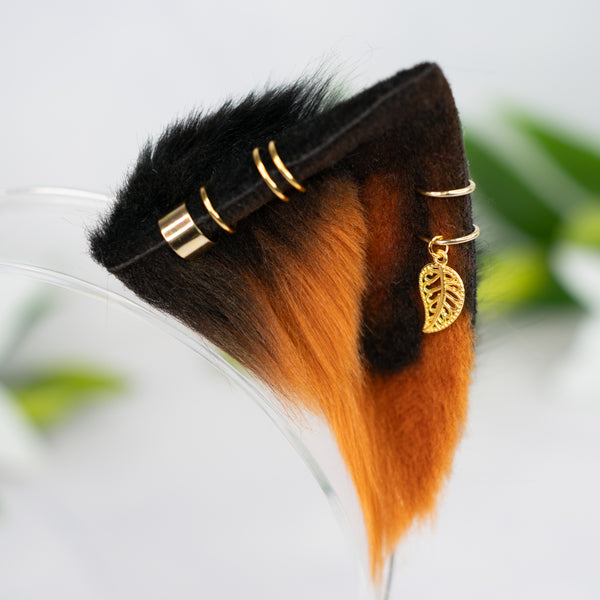 Melanistic kitten ears