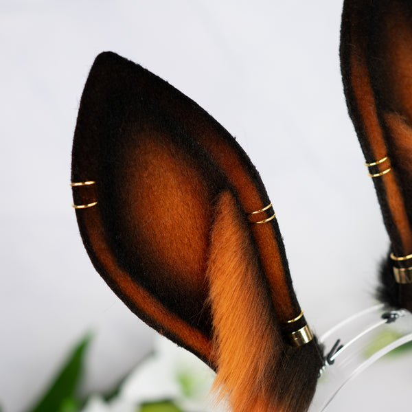 Melanistic bunny ears with Piercings