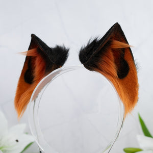 Melanistic cat ears