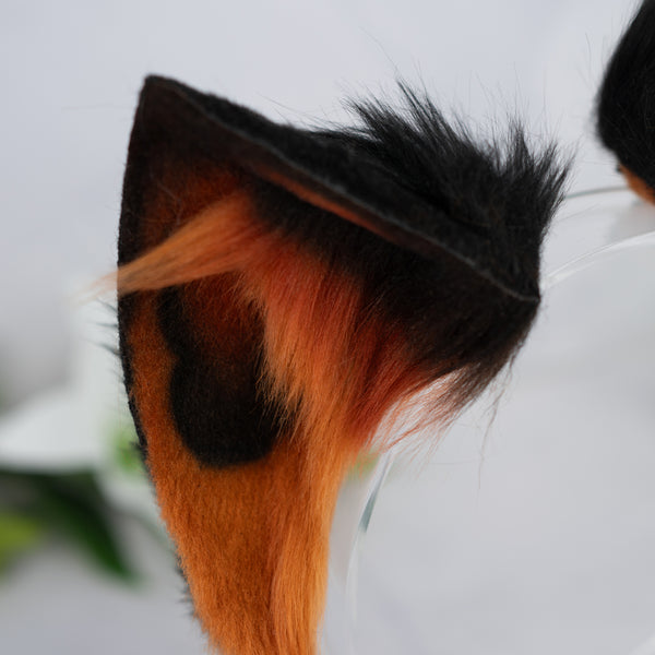 Melanistic cat ears