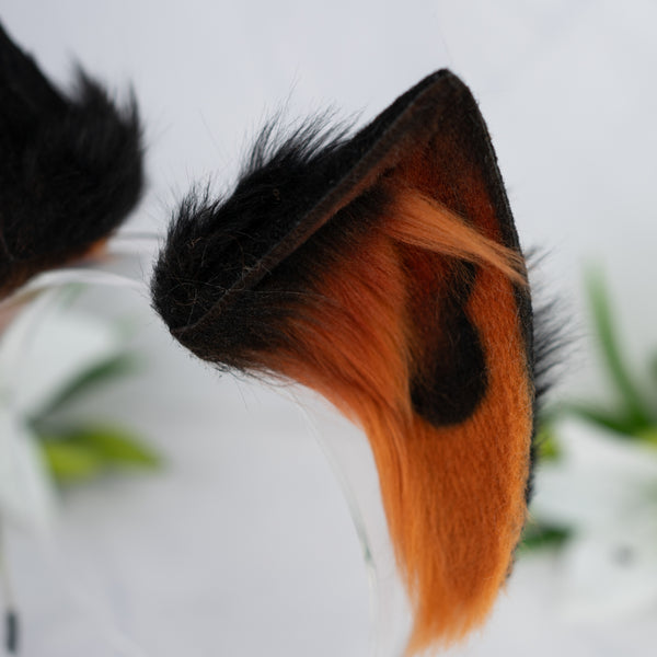 Melanistic cat ears