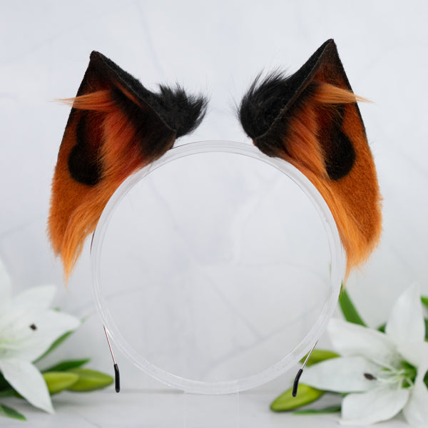 Melanistic cat ears