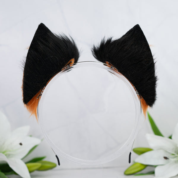 Melanistic cat ears