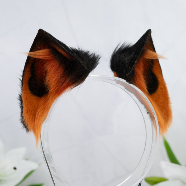 Melanistic cat ears