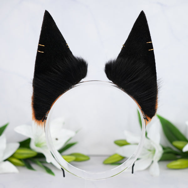 Melanistic fox ears with Piercings