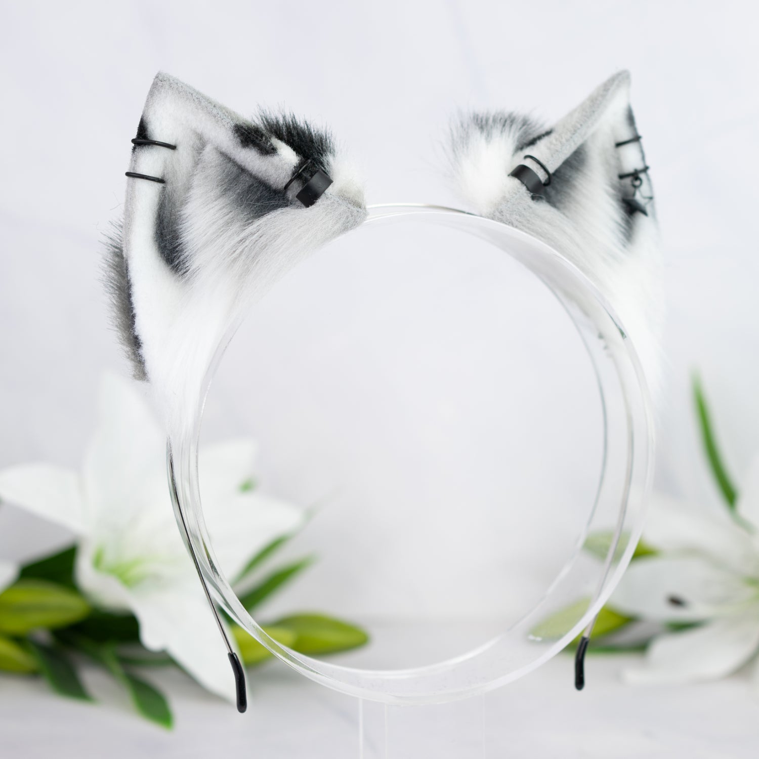 Monochrome Calico kitten ears