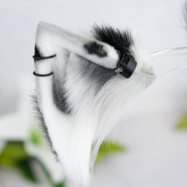 Monochrome Calico kitten ears