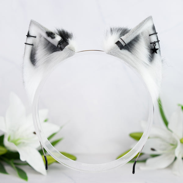 Monochrome Calico kitten ears