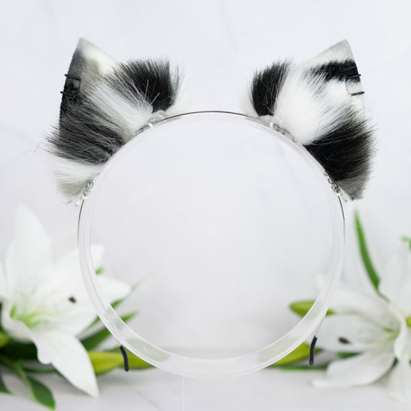Monochrome Calico kitten ears