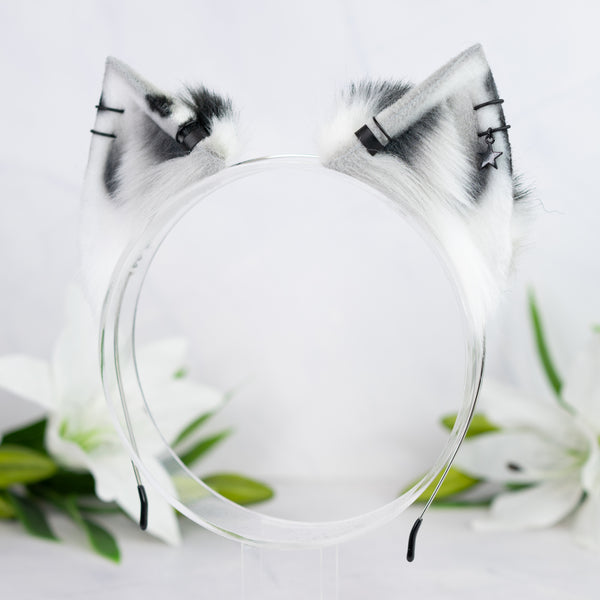 Monochrome Calico kitten ears