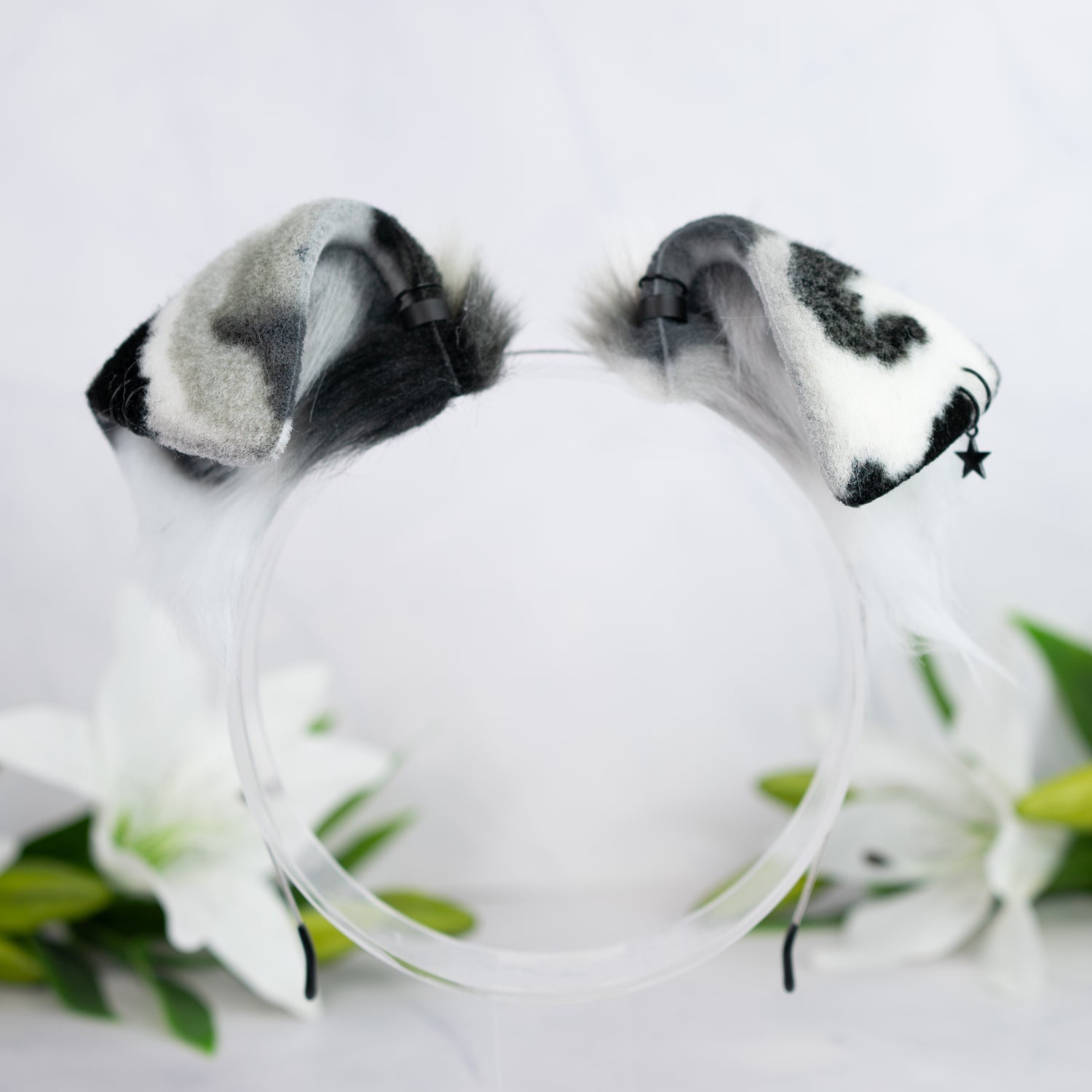 Monochrome Calico puppy ears
