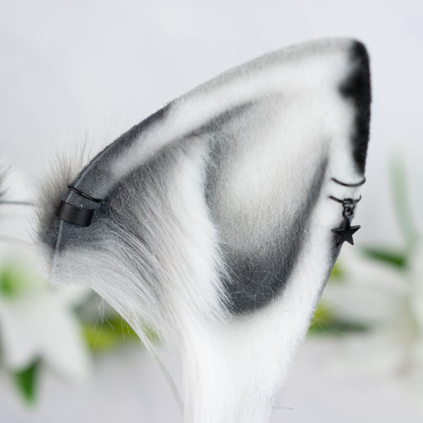 Monochrome Calico puppy ears